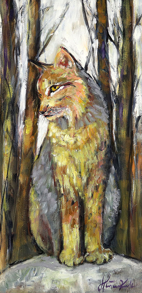 Górski kot - Ryś . Rezerwacja