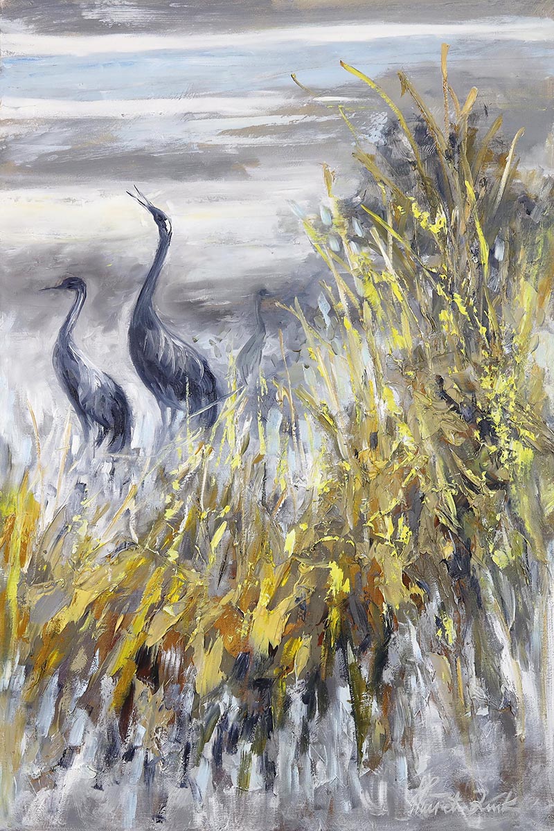 Zurawie na rozlewisku 