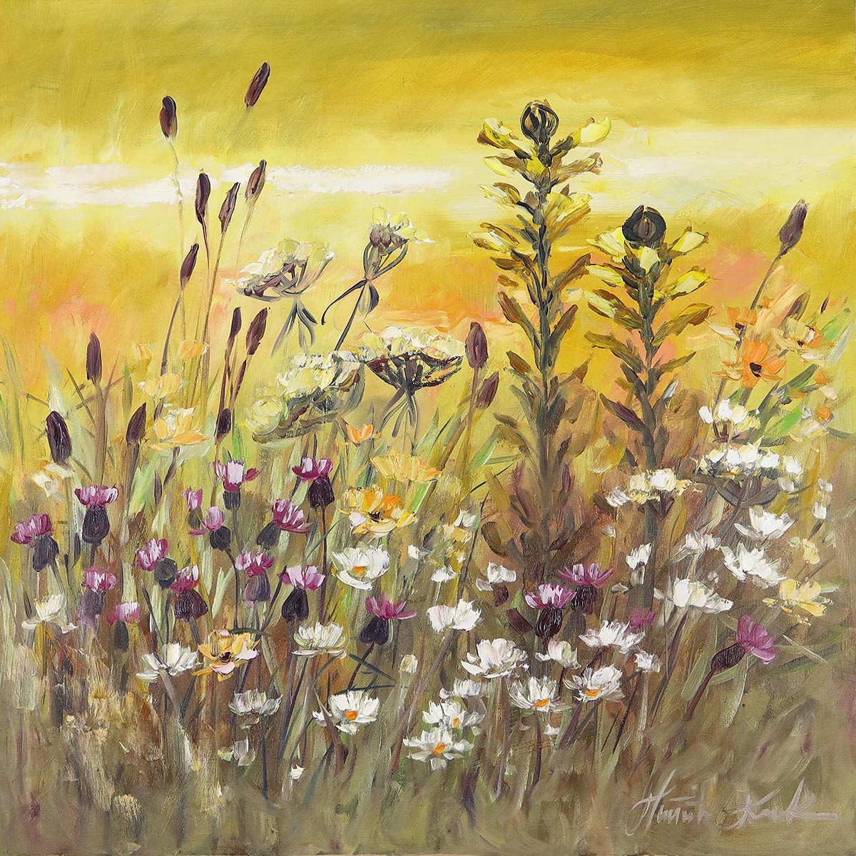 Łąka w złotym świetle