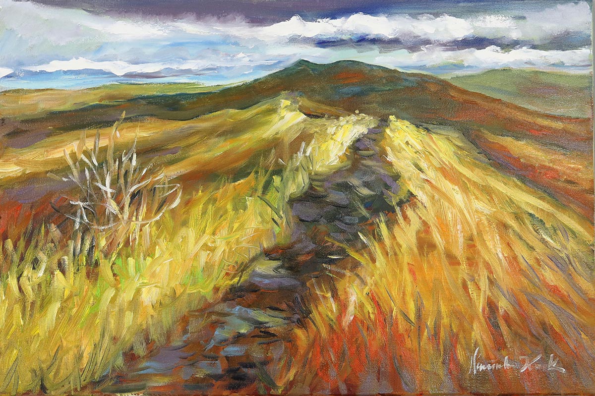 Bieszczady  Rezerwacja dla JT