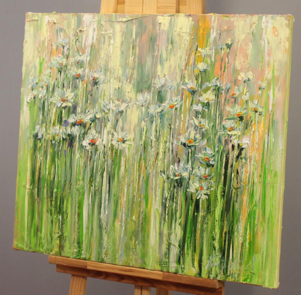 Rumianki w swietle poranka