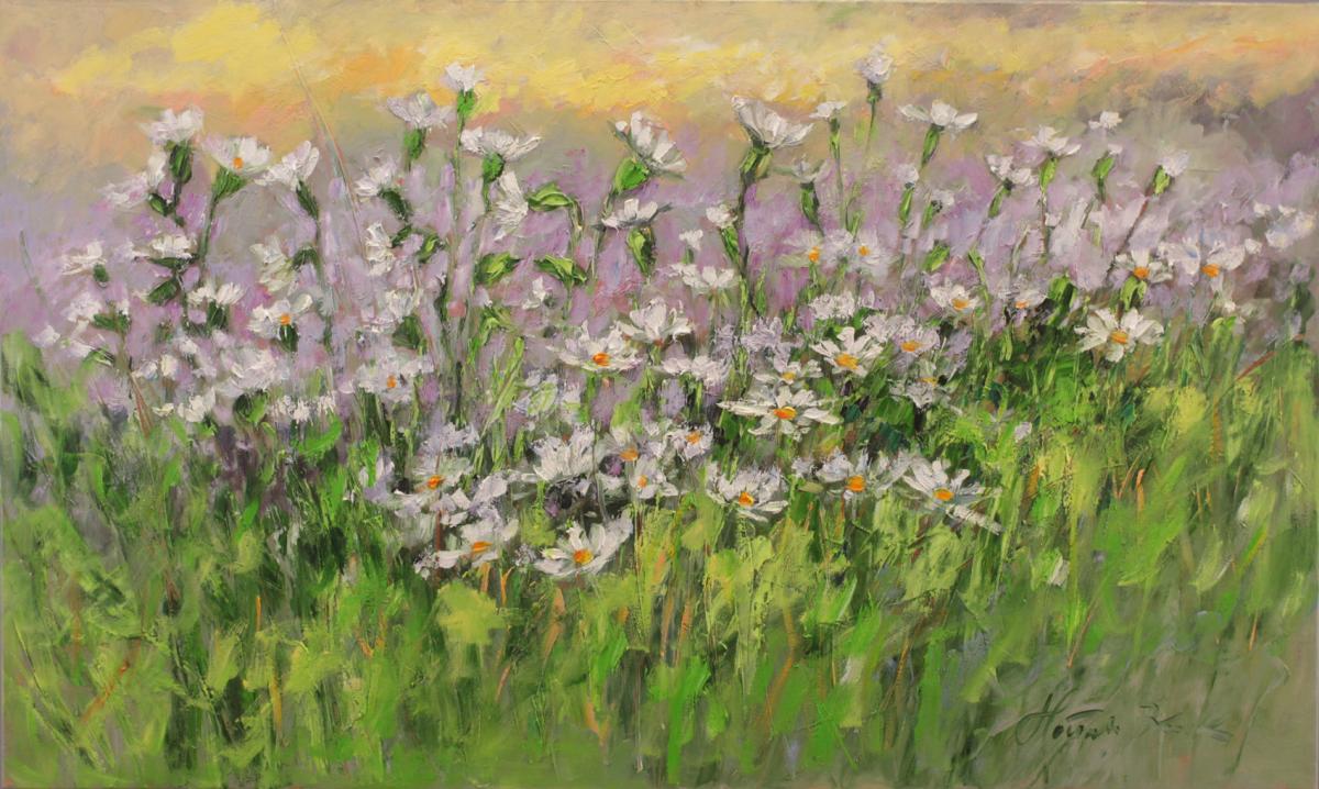 Rumianki na skraju pola