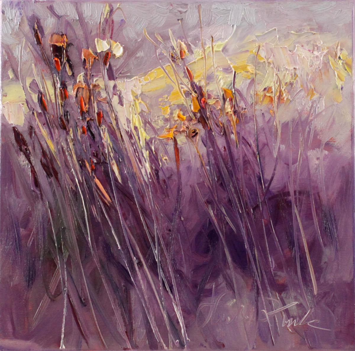 Ostatni promień słońca